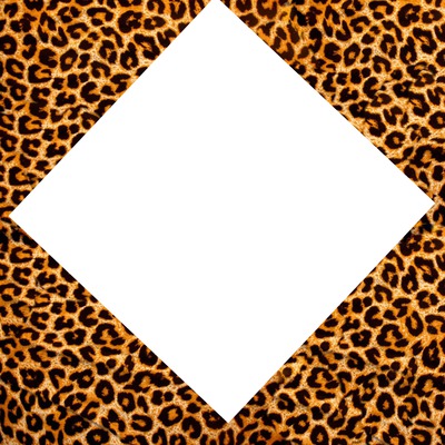 cadre 1 photo leopard Fotomontaż