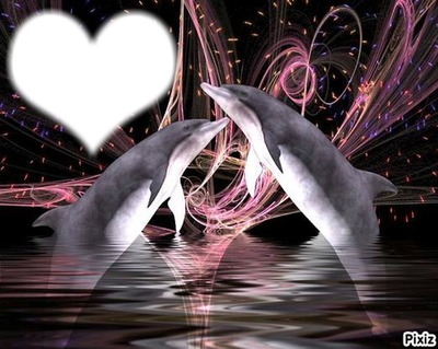 dauphins de coeur Fotomontagem