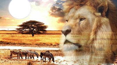 lion Photomontage