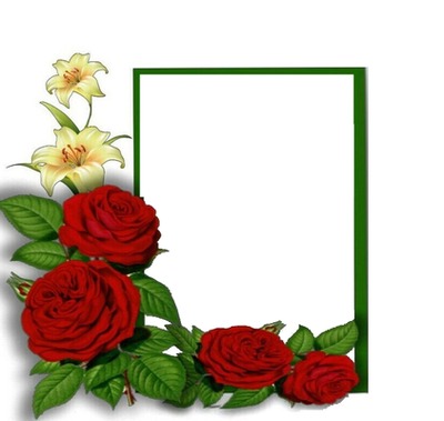 rosas rojas y marco verde. Fotomontáž
