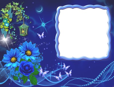 Cadre bleu-fleurs-papillons-nuit Фотомонтажа
