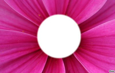 fleur Fotomontažas