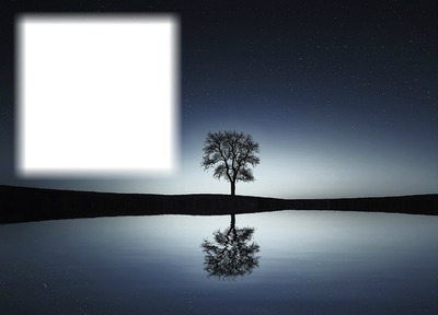 Obscurité-nuit-arbre Fotomontaža