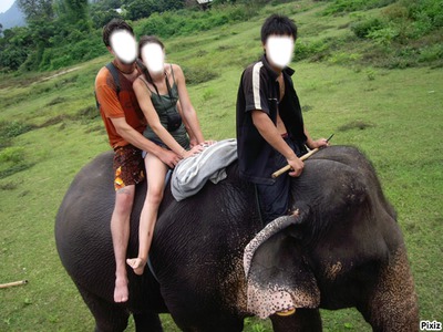 promenade a dos d'elephant Photo frame effect