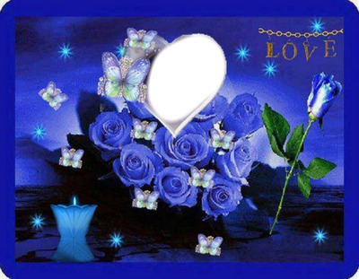Love blues flowers Montaje fotografico