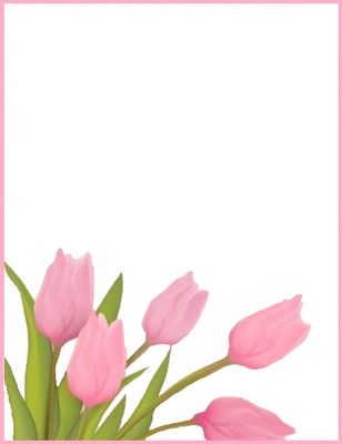 marco y tulipanes rosados. Fotomontage