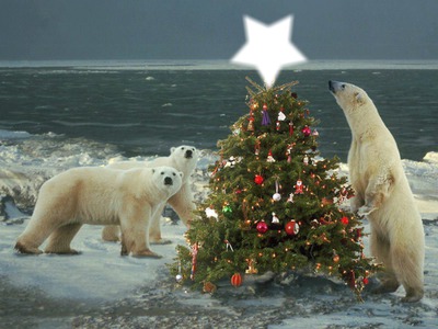Noël au pôle nord Photo frame effect