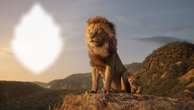 Signe Lion Photo frame effect
