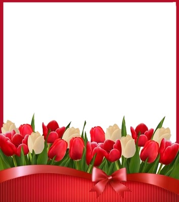 marco y tulipanes rojos. フォトモンタージュ