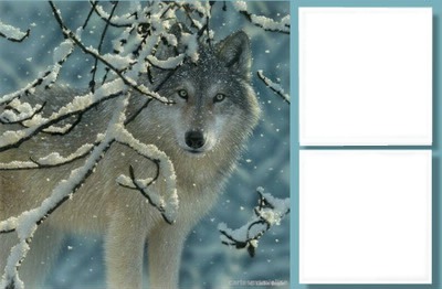Loup Photo frame effect