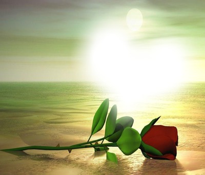 Rote Rose der Liebe Fotomontage