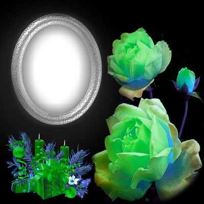 Rose coloor Photomontage
