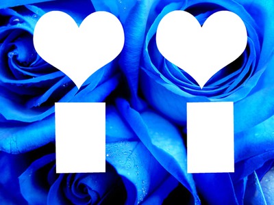 roses bleu Fotomontaż