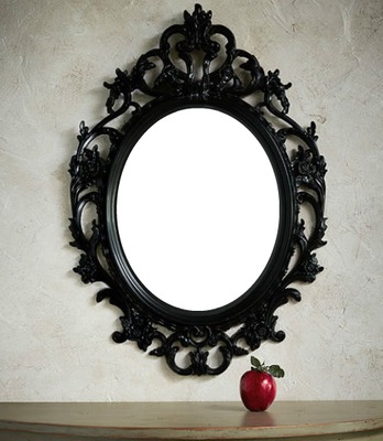 mirror Photo frame effect