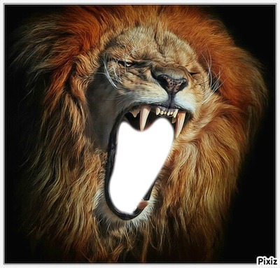 Lion bouffeur Fotomontáž