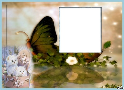 papillon Fotomontaggio