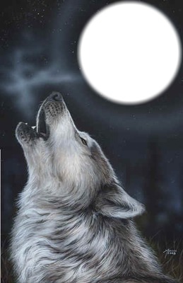 le cri du loup Фотомонтажа
