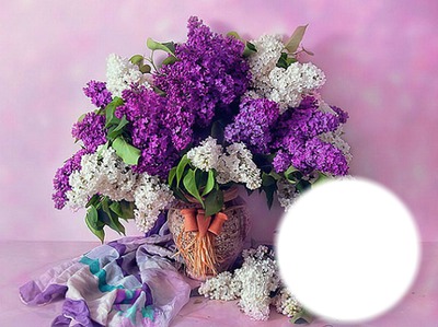 Lilas Photo frame effect