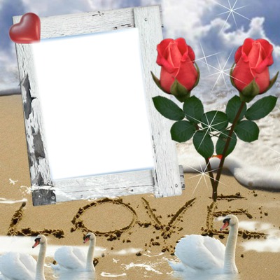 love-love Photo frame effect