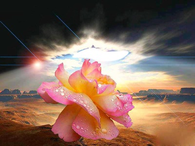 fantastique rose Photomontage