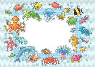 cadre 1 photo animaux de la mer