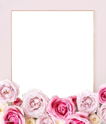 marco y rosas rosadas. Fotomontagem