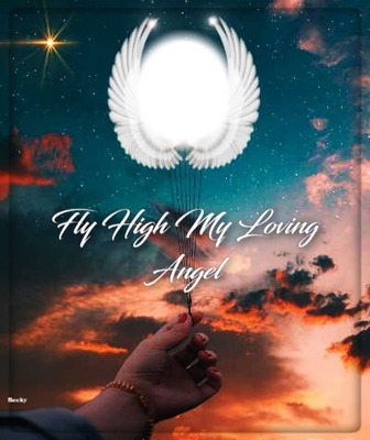 FLY HIGH Photomontage