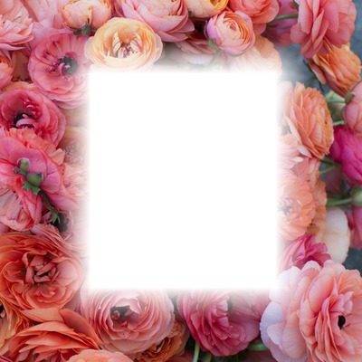roses frame Fotomontasje