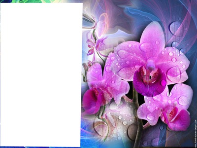 orchidee Φωτομοντάζ