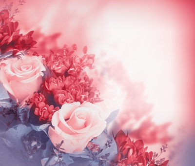 Rosa Rose im Glanz Fotomontage
