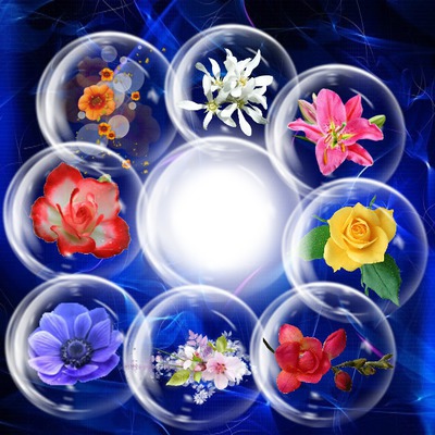 Cadres bulles de fleurs Photomontage