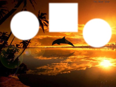 coucher de soleil dauphin Valokuvamontaasi