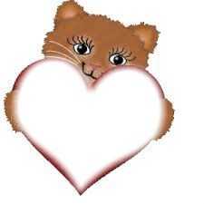 chat coeur Photo frame effect