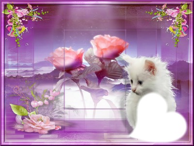Chat Photomontage
