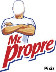 Mr Propre Photo frame effect
