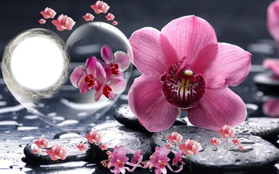 coeur orchidées Фотомонтажа