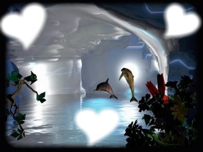 dauphins avec coeur Фотомонтаж