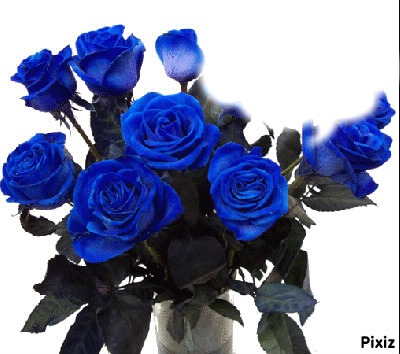 rose bleu 1 Fotomontaggio