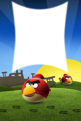 angry bird . Photo frame effect
