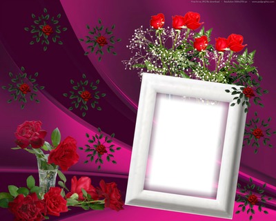 Cadre roses rouge Photo frame effect