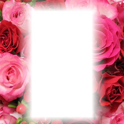 Roses profil Fotomontage