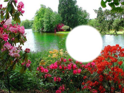 lac fleuri Fotómontázs