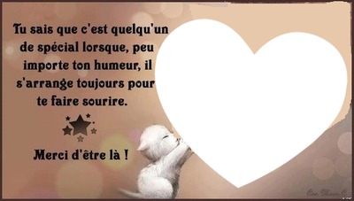 petit chat Photo frame effect