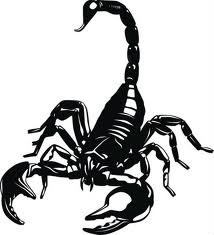 scorpion Φωτομοντάζ