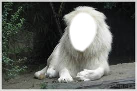 Lion Blanc Photo frame effect
