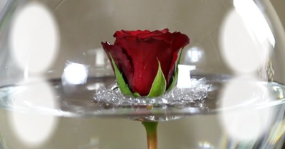 rosas Φωτομοντάζ
