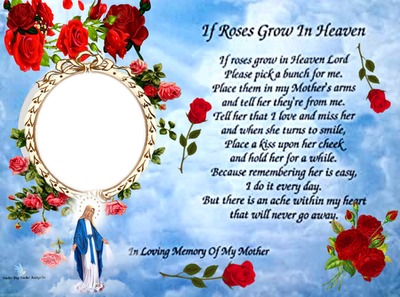 if a rose grows in heaven Photo frame effect