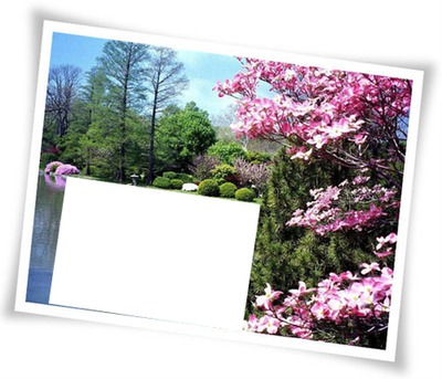 laly nature Photo frame effect