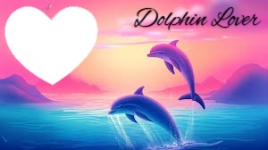 Dolphin Lover Photo frame effect