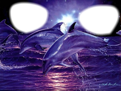 delfines Fotomontaggio